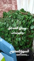  22 رول ورق شجر اخضر كثيف3 متر ب متر  للمداخل والبرندات واالحيطان