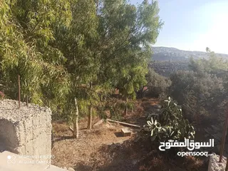  2 قطعه ارض مميزه  للاستثمار بسعر مغري مع منزل في اربد للبيع