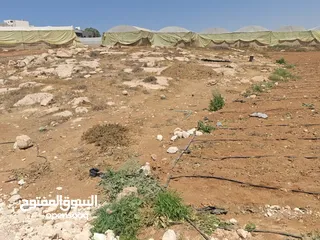  3 ارض للبيع في منطقه السموع تصنيف الف