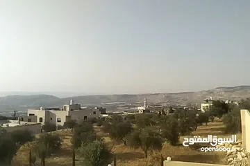  2 قطعة ارض مساحة 870متر سكن ب