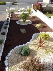  24 تنسيق حدائق