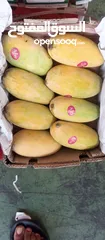  4 Pakistani fresh mangoes sindri coming soon inshallah