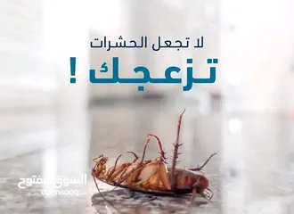  2 مكافحة الحشرات المنزلية بكل أنواعها في صنعاء