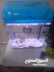  4 حوض سمك تجنبي