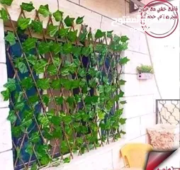  6 رول ورق شجر اخضر كثيف 3 متر