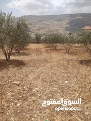  1 بيع قطعة ارض