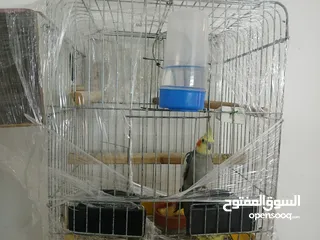  4 كوكتيل جوز بالصلاه على النبي
