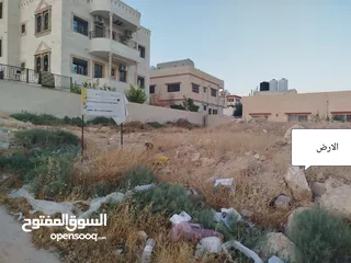  1 أرض للبيع في البتراوي الجنوبي مساحتها 505 متر مربع