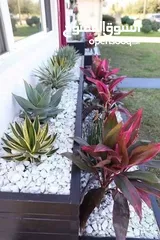  14 تنسيق حدائق