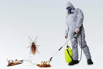  2 مكافحة حشرات بمكة