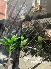  20 شقق مميزة للبيع 250 متر في ارقى مناطق شمال عمان شفابدران متوفر طابق اول وطابق أرضي وأخير مع روف مميز