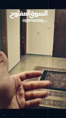  4 للبيع الكوكتيل عمر شهر 100%  في واتساب