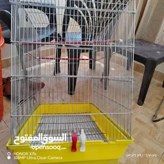  6 مطير 7معالف سوري كما هوا مكتوب عليها للبيع الزرقاء الجديده البتراوي بقرب من فندق الجوابره او دوار جي