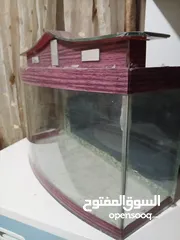  5 حوض سمك كبير