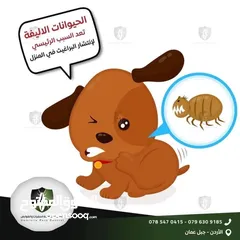 3 مكافحة الحشرات وبق الفراش و الصراصير والنمل وعثة الغبار والبراغيث والفئران بكفالة حقيقية في الاردن