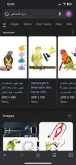  2 مطلوب حبل ببغاء للطيران الحر