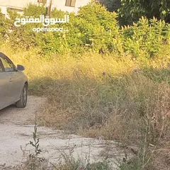  1 قطعه أرض في نقب الدبور السلط للبيع بسعر مغري
