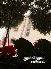  19 بيت للايجار