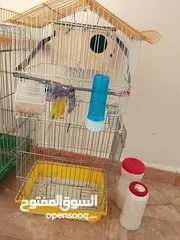  9 متفرقات منزل برادي عصافير ثريات
