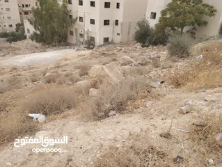 5 قطعة أرض مميزة في منطقة جريبا للبيع