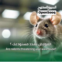  16 paint/wall paper/plishing/cleaning/pest control services/ Electrical and plumbing services