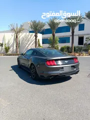  13 mustang 2019 perfect low milage