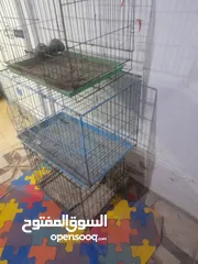  1 قفاص قطط او كلاب او طيور للبيع او البدل