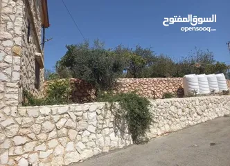  12 مزرعه للبيع في زي