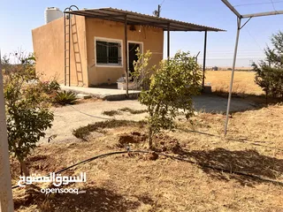  18 قطعة أرض وبيتين  ومزرعه جاهز للسكن