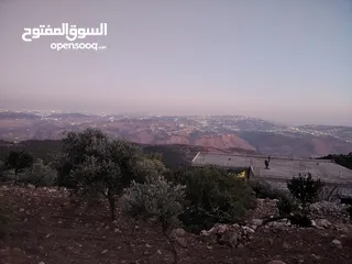 10 ارض للبيع 4300م على القوشان وعلى الواقع 12دونم متواجد بيت مساحة 380 متر طابقين +خزان يتسع50 متر