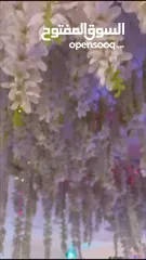  4 بكج حنا العروس
