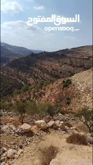  4 فرصة استثمارية في مدينة روابي –