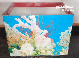  3 حوض سمك زجاجي بحاله ممتازه جدا