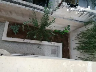 24 منزل مستقل للبيع عمان ضاحية  الامير حسن اخر دخلة مطعم الرملة شارع حمدان البشير