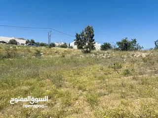  3 سوادة الجنوبي دونم 1000 م