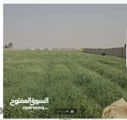  1 للبيع قطعة أرض 3.8 دونم في اللبن القليب قرب مشروع اعمار من المالك مباشره