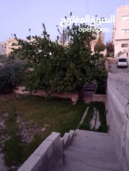  5 أرض للبيع بمساحه 678:340 متر عليه بيت قديم 100م يوجد فيها أشجار الزيتون وتوت وتين ولمون وعنب على شار