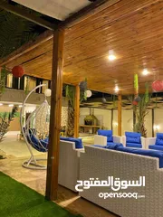  8 شليهت لليجار اليومي