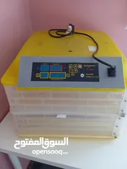  1 فقاسة صيصان تتسع إلى 48 بيضة بحالة ممتازة ومعها 13صوص بلدي عمر اسبوعين مع حاضنة صيصان بسعر 85 دينار