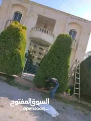  11 يتوفر جميع أنواع الاشجار  حمضيات لوزيات شجر زينه نسعد بخدمتكم