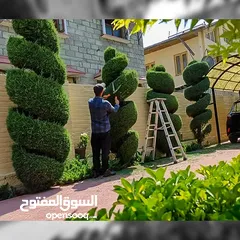  9 تنسيق و صيانة حدائق و انشاء و صيانة شبكات الري في جميع مناطق الكويت