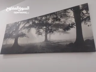  1 لوحات مستعمل للبيع