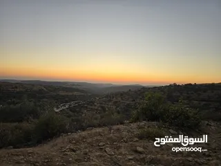 2 ارض لقطه بمساحه 500 متر ع شارعين 10 متر