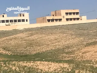  6 للبيع  3 قطع في النهضه محافظة العاصمه اراضي جنوب عمان مجموع مساحة القطع 50 دونم