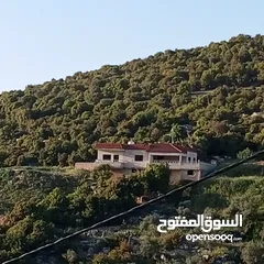  2 فيلا مستقلة مفروشة للايجار اليومي أو الاسبوعي أو الشهري  مطلة على جبال اشتفينا وعجلون عائلات فقط