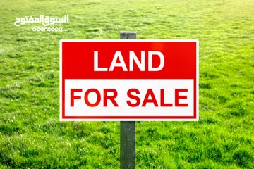 1 قطعة ارض للبيع في ام الوليد  اراضي جنوب عمان