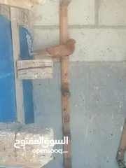  13 حمام للبيع