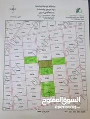  2 أرض زراعية استثمارية ذات مستقبل واعد لااااتعوض   مساحه كل قطعه 10 دونم مفروزه بقوشان مستقل 