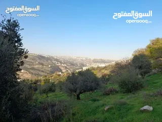  8 قطع اراضي مميزة مطلة غرب عمان