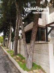  4 بيت مستقل في ضاحية الرشيد مكون من طابقين منفصلين بناء قديم بحاجة الى تجديدمساحة الارض 395 البناء 350